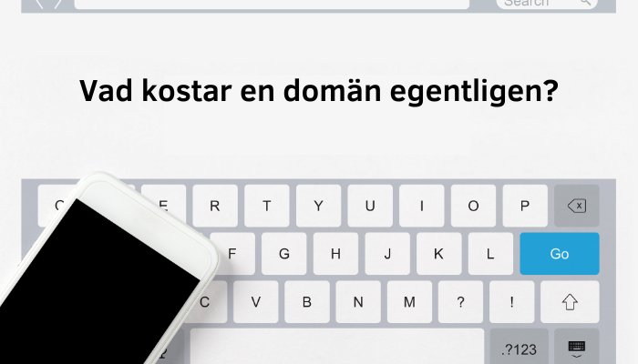 Vad kostar en domän – och vad betalar vi egentligen för?