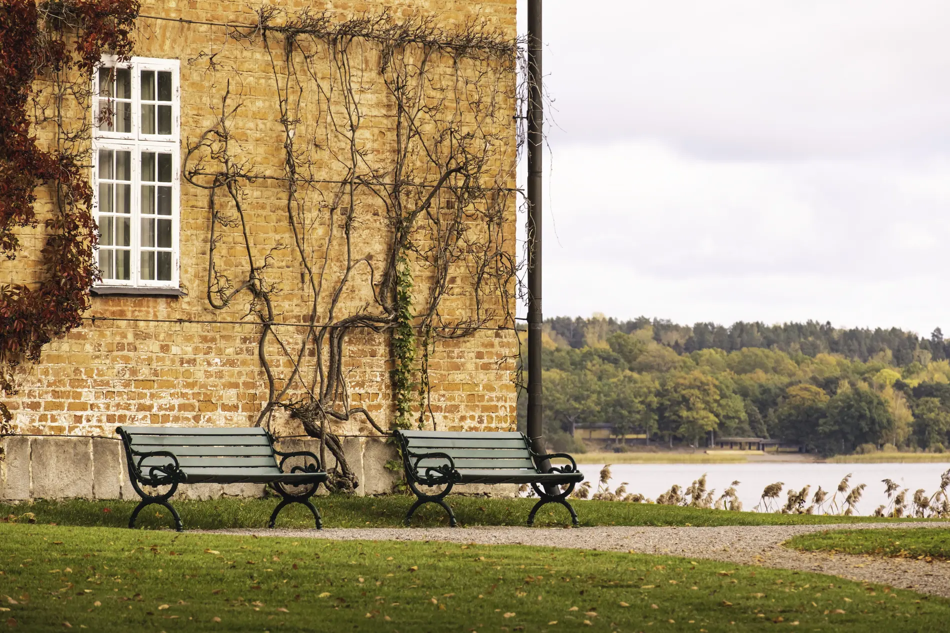 Bänkar vid Gripsholms slott och Mälarens vatten